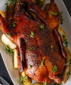 pečený kačica alebo hus reštaurácia domino